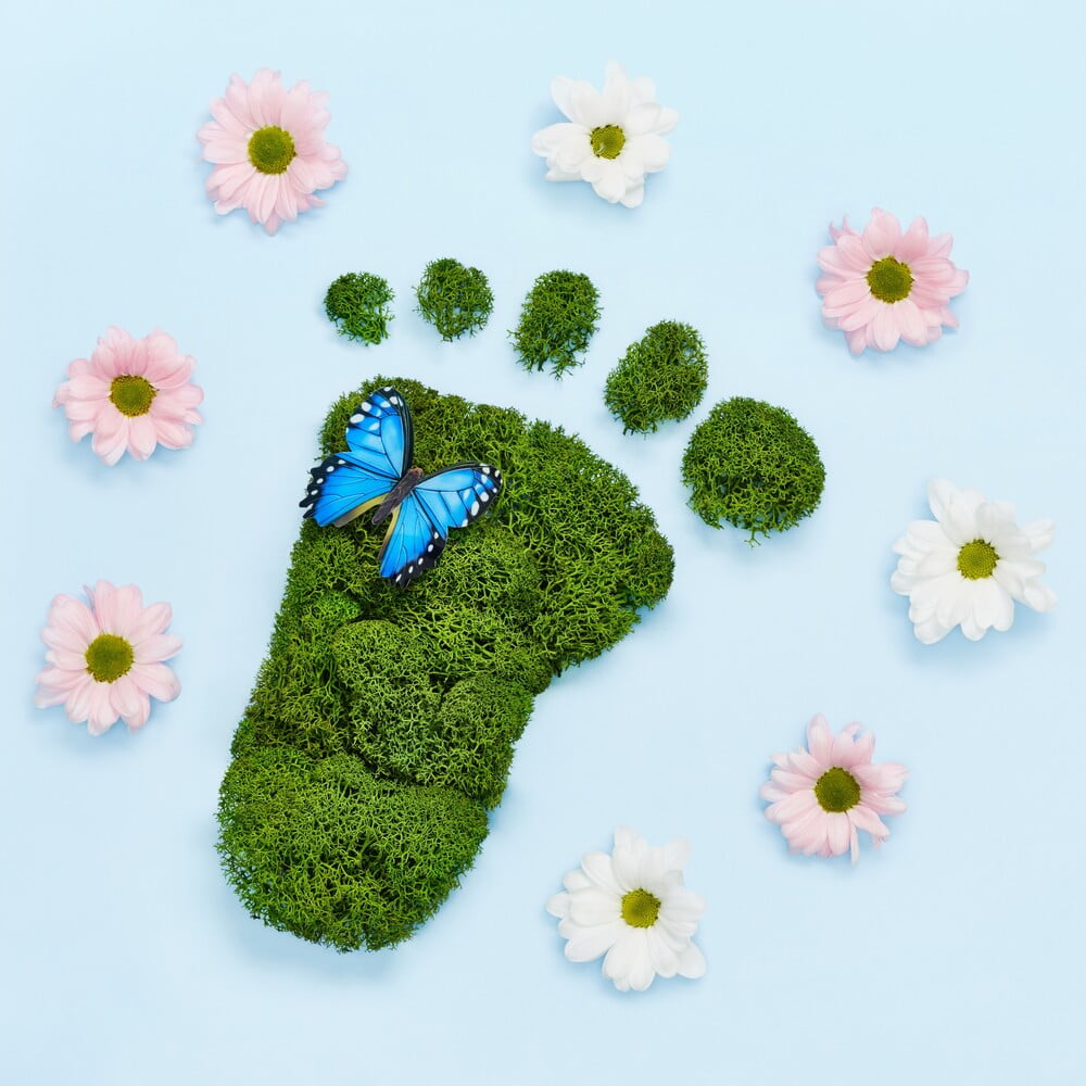 Creative eco, environmental care, earth day concept. Barefoot footprint made of natural green moss, flowers and butterfly on blue background. Diabetic foot care concept.